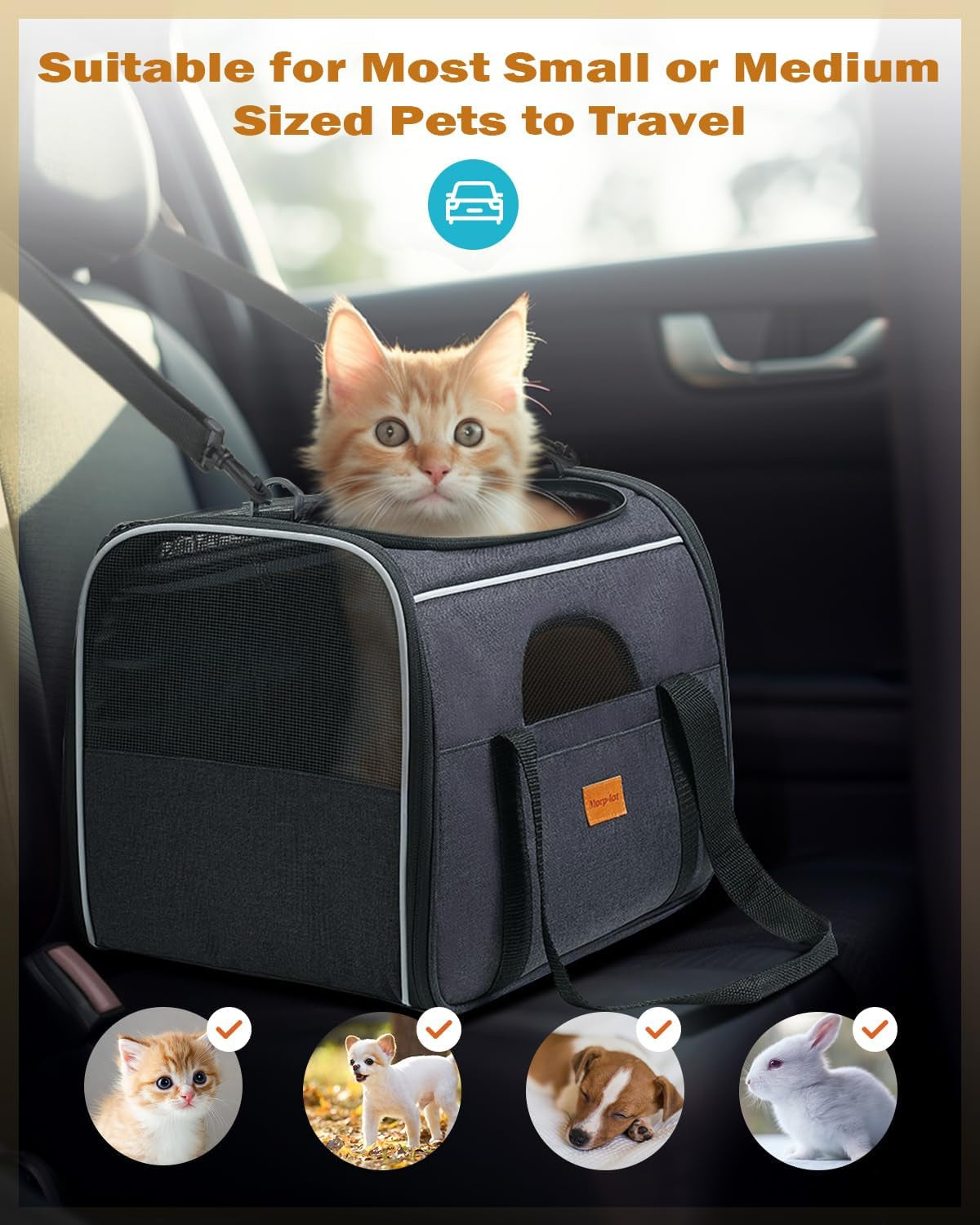 Cat Carrier - Soft Sided Cat Carrier Large for Big Medium Cats and Puppy up to 18Lbs, Pet Carrier with Safety Zippers, Foldable Bowl, Airline Approved Large Dog Carrier - Dark Gray